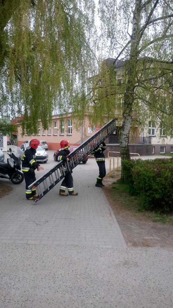 Strażacy z OSP Krzesinki w trakcie ustawiania drabiny - grafika artykułu