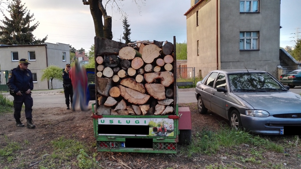 Interwencja przy ul. Grudzieniec - udaremniona kradzież drewna - grafika artykułu