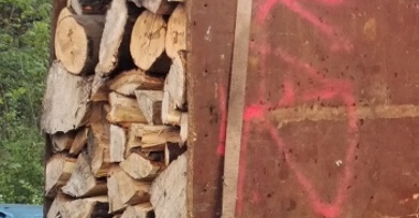 Interwencja przy ul. Grudzieniec - udaremniona kradzież drewna