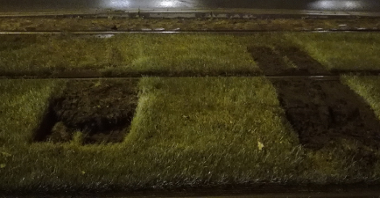 Zniszczony trawnik zielonego torowiska