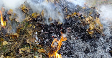 Zadymienie powodowane przez liście spalane w ognisku