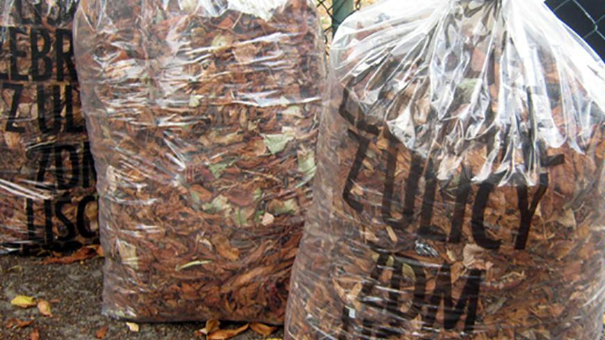 ZDM zbierze ponad 500 ton liści - grafika artykułu