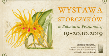 Palmiarnia Poznańska wraz z Orchid4U zaprasza na Wystawę Storczyków