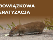 Deratyzacja 2022 - wrzesień