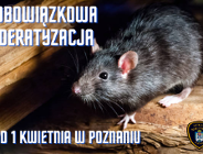 Deratyzacja 2024