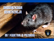 Deratyzacja od 1 kwietnia 2025