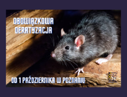 Deratyzacja - październik 2026