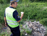 Do trzech razy sztuka