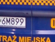 Dzik kontra Ford Mondeo