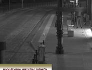 Głupota, która aż naprawdę boli