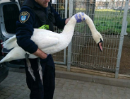 Jeden dzień Eko Patrolu