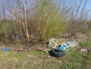 Kolejny teren uprzątnięty