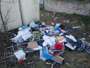 Lekcja ekologii w dniu babci