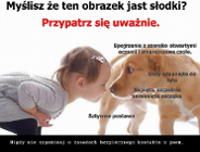 MÓJ PRZYJACIEL PIES