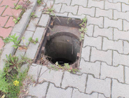 Na gorącym uczynku