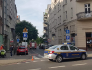 Na pomoc pszczołom