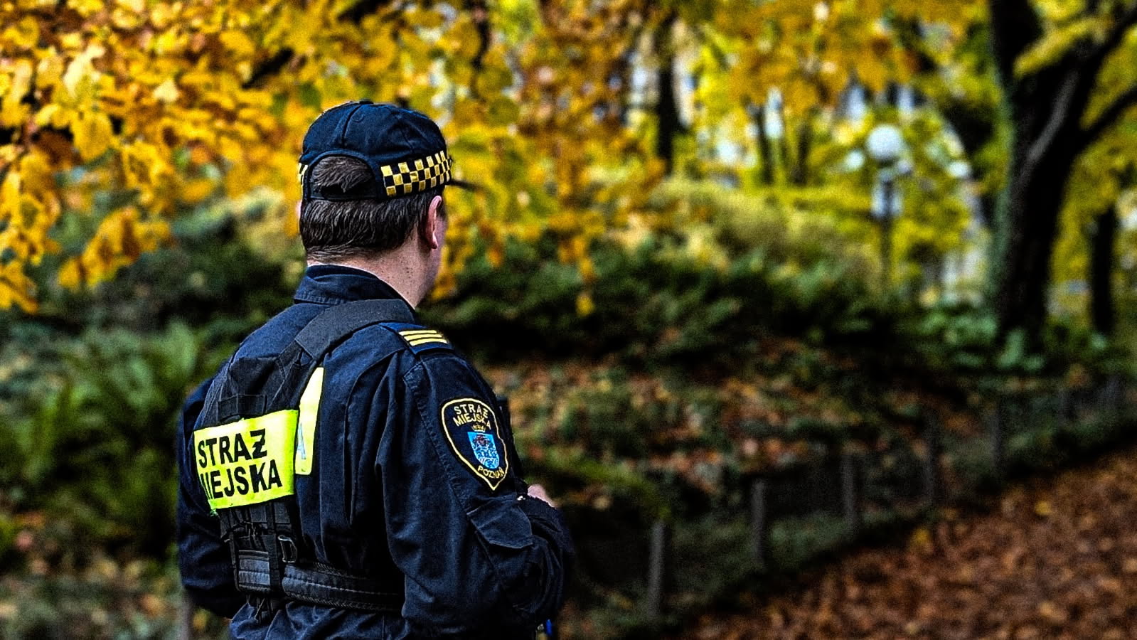 na zdjęciu strażnik miejski, stojący tyłem na tle parku Wilsona w jesiennych kolorach