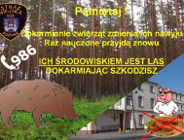Nie dokarmiaj zwierząt leśnych
