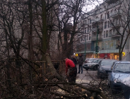 Niebezpieczna wycinka