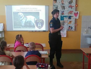 Obowiązki właścicieli zwierząt oraz bezpieczeństwo przy kontaktach z psami