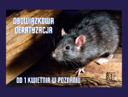 Obowiązkowa deratyzacja na terenie Poznania