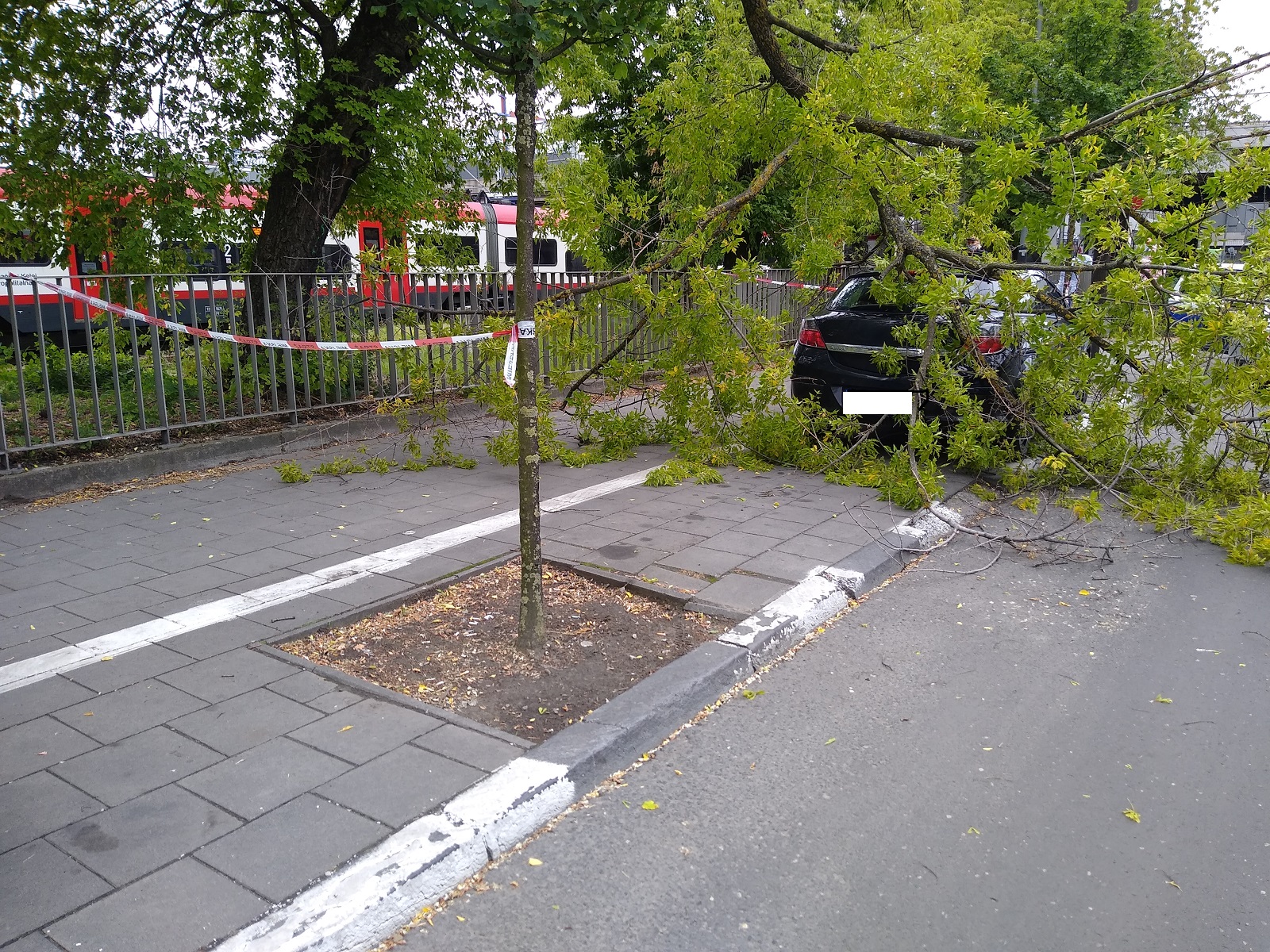 ul. Dworcowa - odłamany konar drzewa spadł na zaparkowany samochód - grafika artykułu