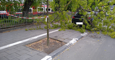 ul. Dworcowa - odłamany konar drzewa spadł na zaparkowany samochód