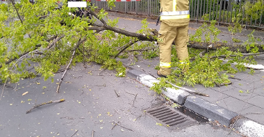 ul. Dworcowa - odłamany konar drzewa spadł na zaparkowany samochód