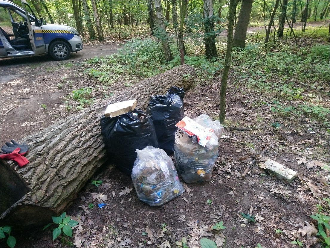 Śmieci w workach - las w pobliżu ul. Chryzantemowej - grafika artykułu