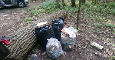 Śmieci w workach - las w pobliżu ul. Chryzantemowej