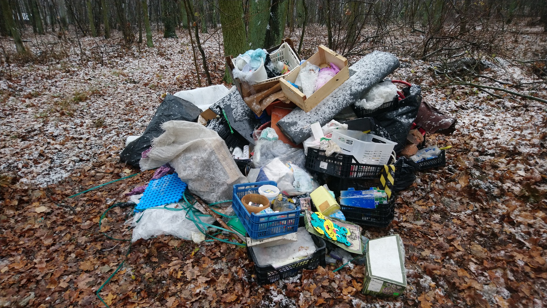 Ul. Beskidzka - skraj lasu - wyrzucone odpady komunalne różne - grafika artykułu