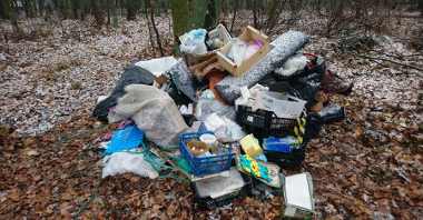 Ul. Beskidzka - skraj lasu - wyrzucone odpady komunalne różne