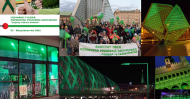 Kolaż zdjęć przedstawiający podświetlone na zielono budynki