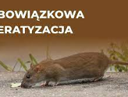 Od jutra deratyzacja