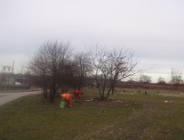 Pętla Zawady czysta