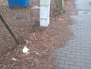 Piękna odzyskuje blask
