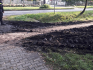 Porządki na terenie Szczepankowa