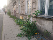 Przedświąteczne porządki