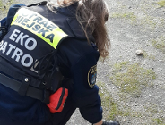 Przygody strażników z Ekopatrolu
