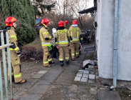 Przypadkowa interwencja