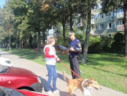 Psi tydzień w Poznaniu - podsumowanie