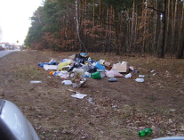 Skąd się wzięły śmieci w lasku ?