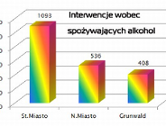 SMMP w 2012 roku - porządek i spokój publiczny cz.I