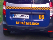 Szczęśliwy powrót