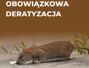 Uwaga - rozpoczyna się powszechna deratyzacja